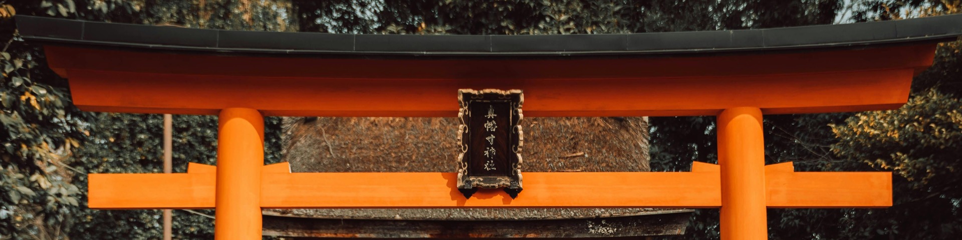 Del sol naciente al negocio creciente: valores japoneses para líderes conscientes